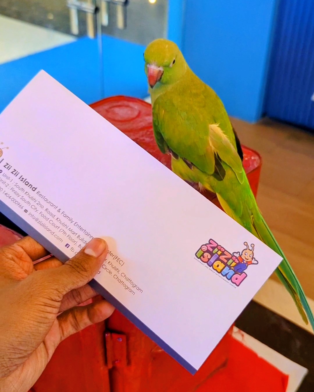 Parrot Fortune Telling